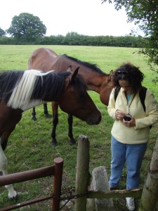 Nowadays the horses seem as interested in me as I am in them.