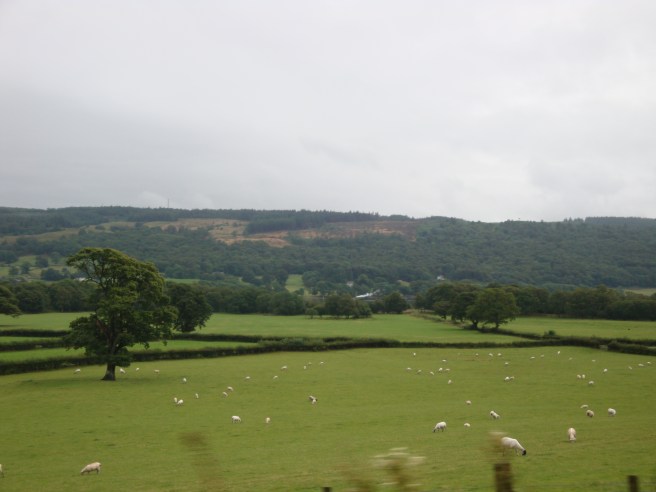 The view from our car window.