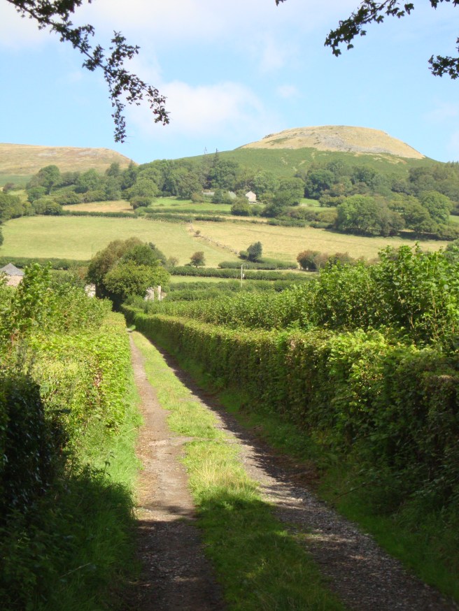 Down a farm track, heading for Table Mountain (Crug Hywel)