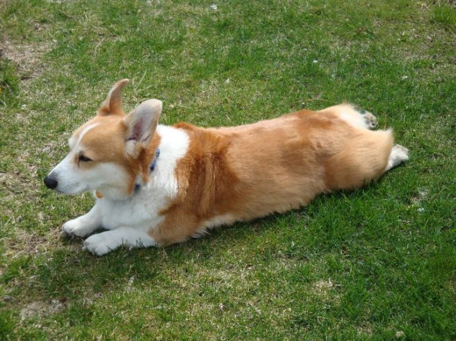 217564_10150158431319483_5094650_n